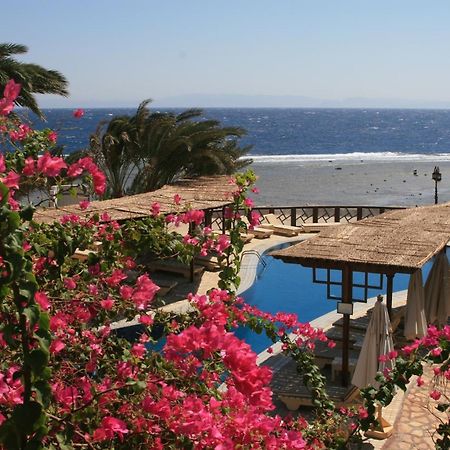 Nesima Resort Dahab Eksteriør bilde