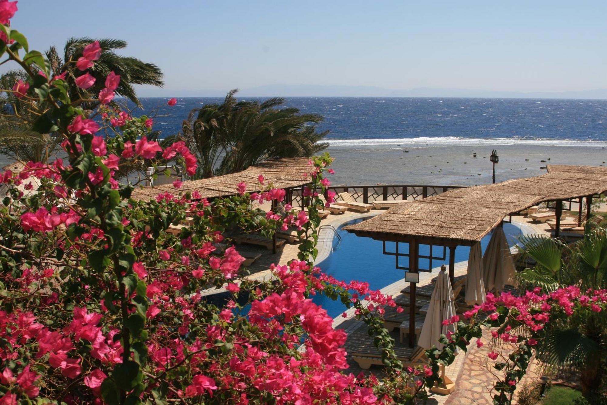 Nesima Resort Dahab Eksteriør bilde
